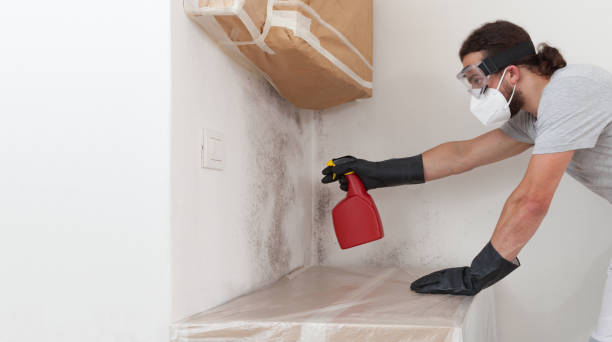 Professional Mold Inspection And Testing technician working in Palisades Park, NJ